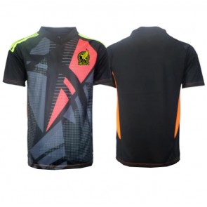 Mexico Goalkeeper Replica Home Stadium Shirt Copa America 2024 Short Sleeve